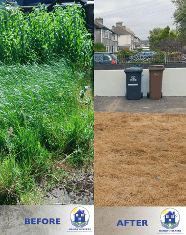 6 Handy Helpers home assistance